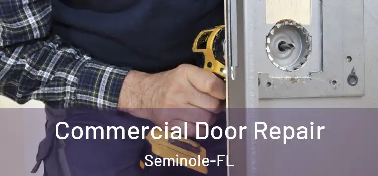  Commercial Door Repair Seminole-FL