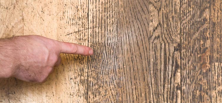 Wood Door Scratch Repair in Seminole